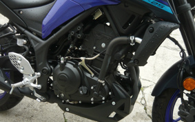YAMAHA MT-25 RG74J