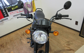 KAWASAKI W175 BJHD1B