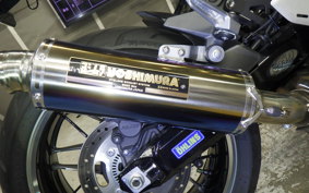 KAWASAKI Z900RS 2023 ZR900K
