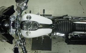 HARLEY FXDL 1580 2007