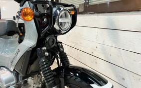DUCATI DIAVEL DIESEL 2017 GC00