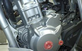 HONDA CRF250L 2013 MD38