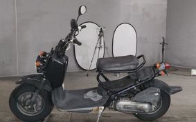 HONDA ZUMAR AF58
