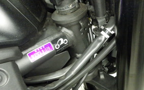 YAMAHA MT-25 A RG74J