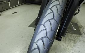 TRIUMPH TIGER 800 2019