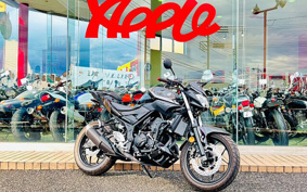 YAMAHA MT-25 RG43J