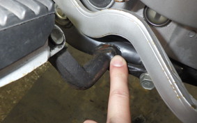 KAWASAKI KLX250D TRACKER