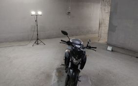 YAMAHA FZ25 RG42