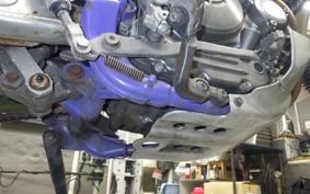 YAMAHA TT250R RAID 2024 4GY