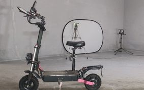 OTHER MINI BIKE ..