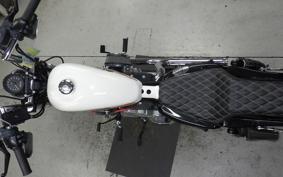 HARLEY XL1200XS 2019