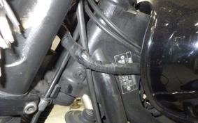 TRIUMPH BONNEVILLE T100 2013