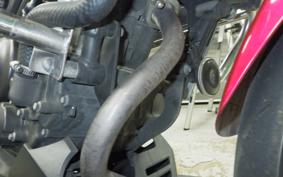 HONDA CB250R 2024 MC52