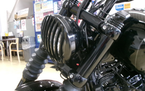 HARLEY FXBB 2019 YJJ