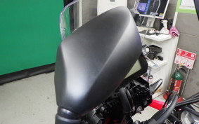 HONDA CRF250 GEN 2 RALLY 1995 MD47