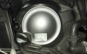 HONDA FORZA 250 2006 MF13