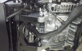 YAMAHA CYGNUSｸﾞﾘﾌｧｽ 2019 SEJ4J