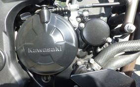KAWASAKI Z250 SL BR250E