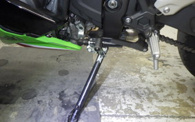 KAWASAKI ZX-4RR 2024 ZX400P