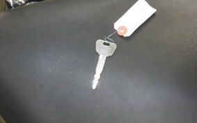 YAMAHA DRAGSTAR 250 2015 VG02J