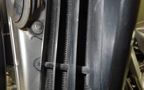 SUZUKI 250SB 2024 LX250L