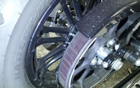 OTHER +HD. XL1200X 2022