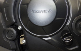 HONDA TRANSALP XL750 2024 RD16