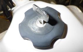 YAMAHA SEROW 225 W 2025 4JG