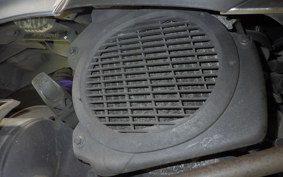 HONDA LEAD 110 2023 JF19