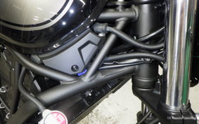 KAWASAKI Z650 RS 2024 ER650R