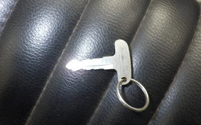 KAWASAKI 250TR 2017 BJ250F