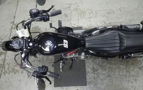 HARLEY XL1200XS 2019