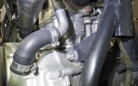 YAMAHA WR250X 2024
