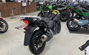 SUZUKI STROM 250 DS11A