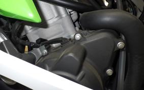 KAWASAKI ZX-4RR 2024 ZX400P