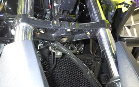 SUZUKI Vｽﾄﾛｰﾑ250A 2022