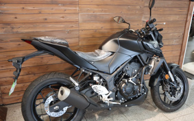 YAMAHA MT-25 RG74J