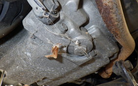 HONDA SPACY 125 Gen. 3 JF04