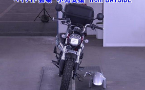 OTHER  DUX 125