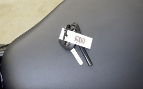 HONDA REBEL 1100 T 2025 SC87