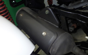PGO AIM 125 WELL BIKE
