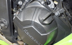 KAWASAKI NINJA 250 EX250L