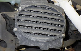 HONDA ZOOMER 2024 AF58