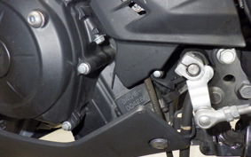 YAMAHA YZF-R25 1996 RG10J
