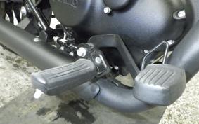 OTHER +ENFIELD ﾒﾃｵ350 2024