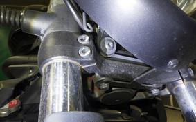 KAWASAKI VULCAN 650 SA 2021 EN650G