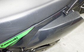 KAWASAKI KLX250D TRACKER X 2025 LX250V