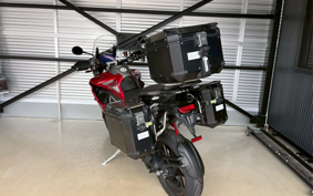 TRIUMPH TIGER 1200GTPRO 2025 TAP22V