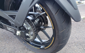 SUZUKI JIKUSA-250 ED22Y