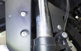 BENELLI レオンチーノ250